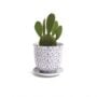 Liberte Pot With Saucer – Chive – Blue Feathers – 3.25″